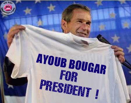 toujour ayoub